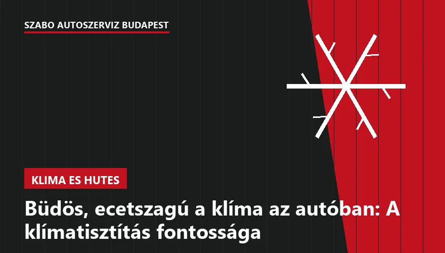 Büdös, ecetszagú a klíma az autóban: A klímatisztítás fontossága