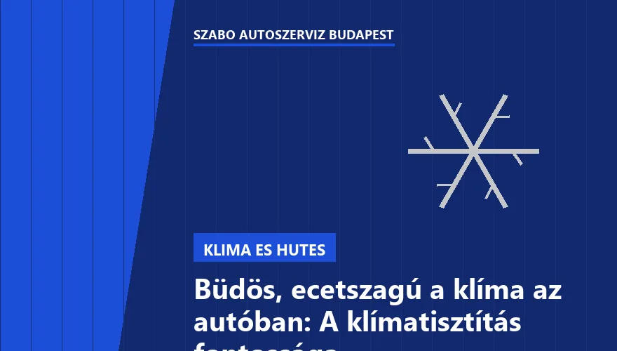 Büdös, ecetszagú a klíma az autóban: A klímatisztítás fontossága - 1. ábra