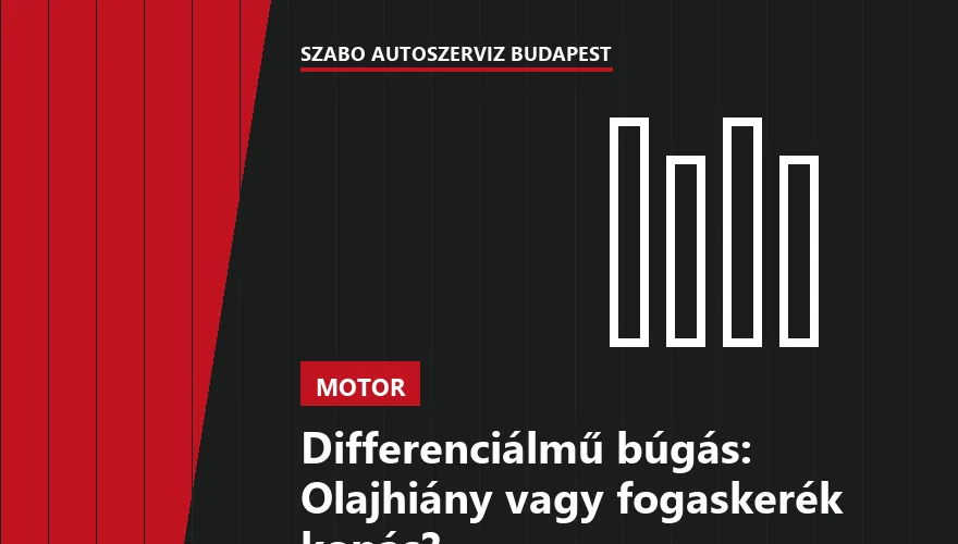 Differenciálmű búgás: Olajhiány vagy fogaskerék kopás? - 2. ábra