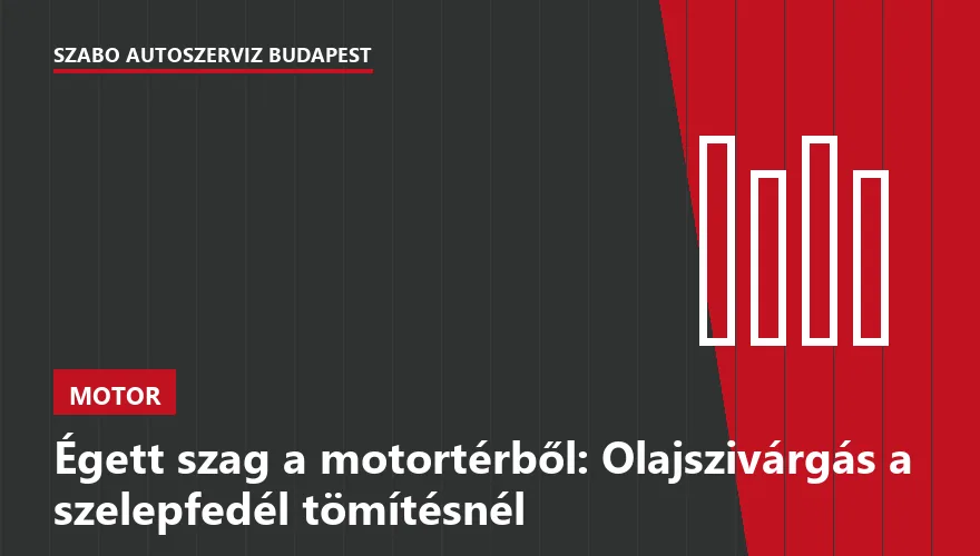 Égett szag a motortérből: Olajszivárgás a szelepfedél tömítésnél - 1. ábra