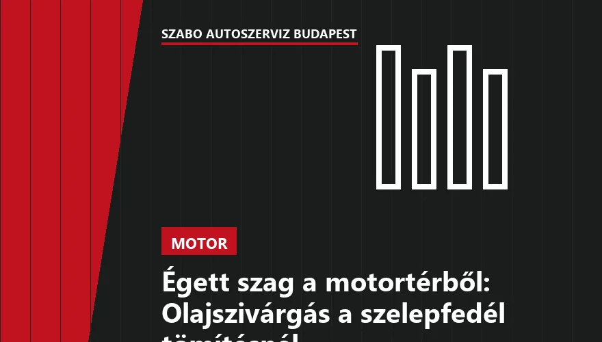 Égett szag a motortérből: Olajszivárgás a szelepfedél tömítésnél - 2. ábra