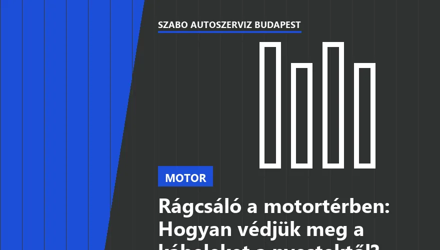 Rágcsáló a motortérben: Hogyan védjük meg a kábeleket a nyestektől?