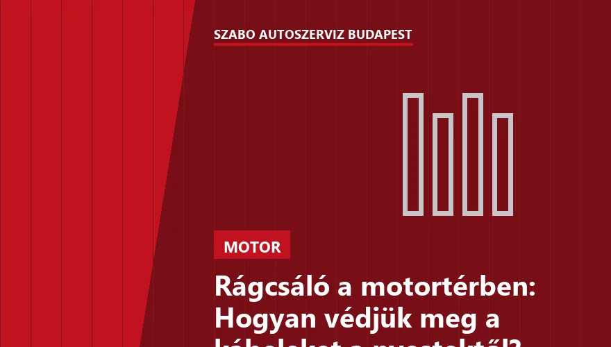 Rágcsáló a motortérben: Hogyan védjük meg a kábeleket a nyestektől? - 2. ábra