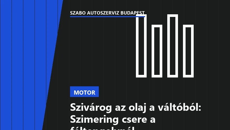 Szivárog az olaj a váltóból: Szimering csere a féltengelynél