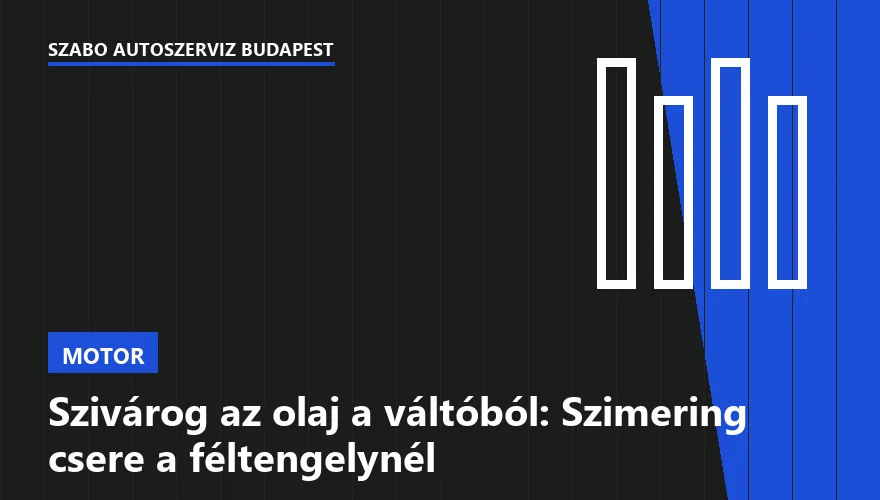 Szivárog az olaj a váltóból: Szimering csere a féltengelynél - 1. ábra