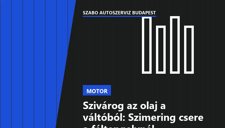 Szivárog az olaj a váltóból: Szimering csere a féltengelynél - 2. ábra