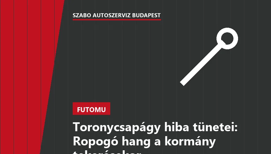 Toronycsapágy hiba tünetei: Ropogó hang a kormány tekerésekor - 2. ábra