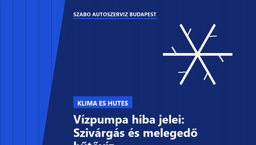 Vízpumpa hiba jelei: Szivárgás és melegedő hűtővíz
