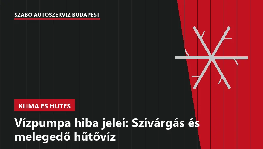 Vízpumpa hiba jelei: Szivárgás és melegedő hűtővíz - 1. ábra