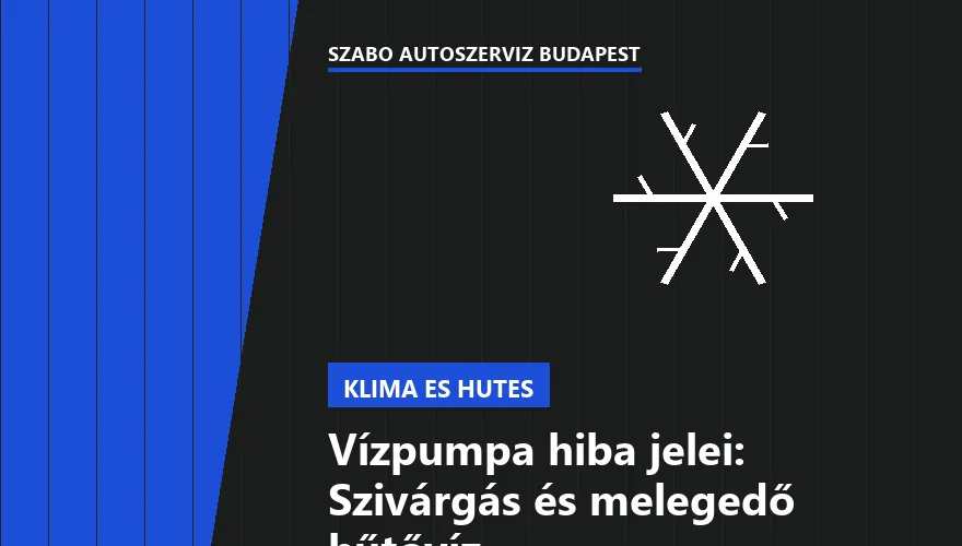 Vízpumpa hiba jelei: Szivárgás és melegedő hűtővíz - 2. ábra