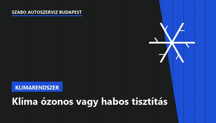 Klíma ózonos vagy habos tisztítás - autószerviz Budapest, Szabó Autószervíz műhely