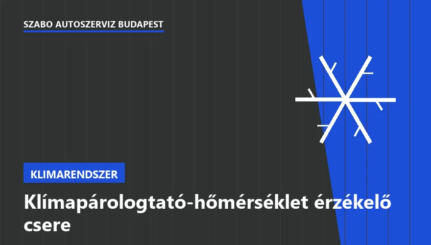 Klímapárologtató-hőmérséklet érzékelő csere - autószerviz Budapest, Szabó Autószervíz műhely