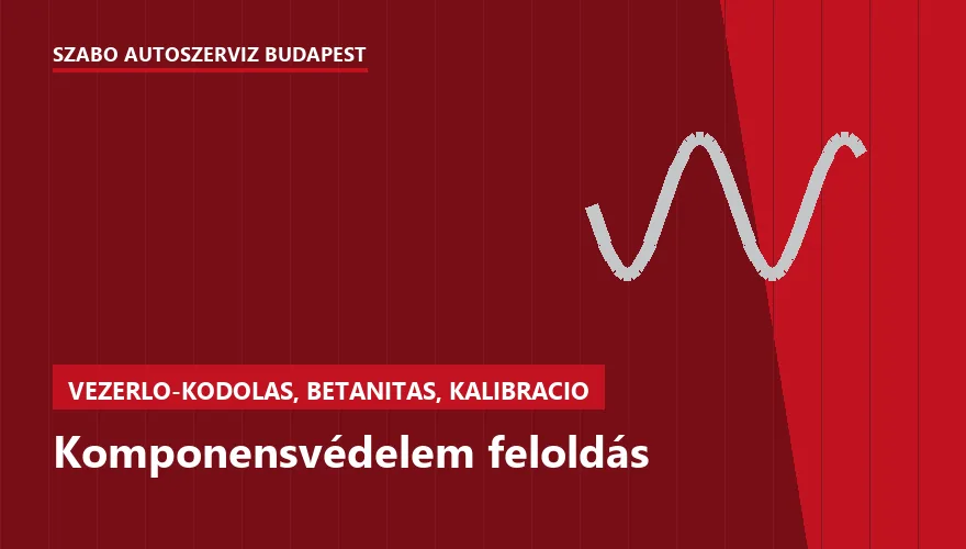 Komponensvédelem feloldás - autószerviz Budapest, Szabó Autószervíz műhely