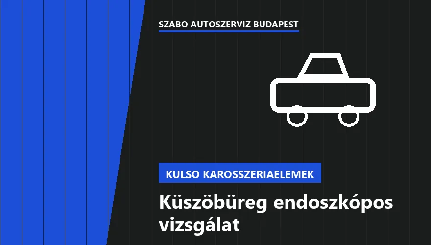 Küszöbüreg endoszkópos vizsgálat a Szabó Autószervíz Budapest szervizében
