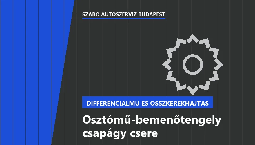 Osztómű-bemenőtengely csapágy csere a Szabó Autószervíz Budapest szervizében