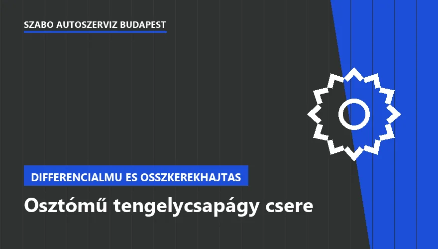 Osztómű tengelycsapágy csere - autószerviz Budapest, Szabó Autószervíz műhely