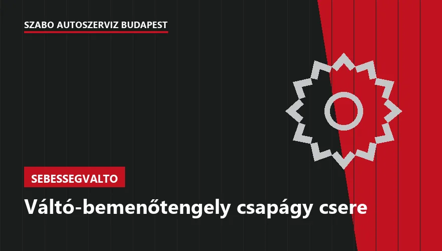 Váltó-bemenőtengely csapágy csere - autószerviz Budapest, Szabó Autószervíz műhely